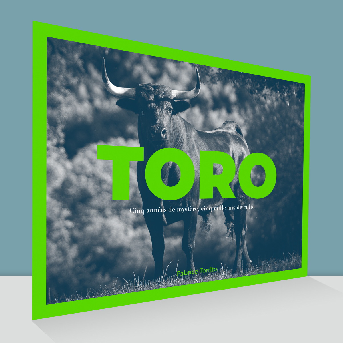 livre toro fabrice torrito